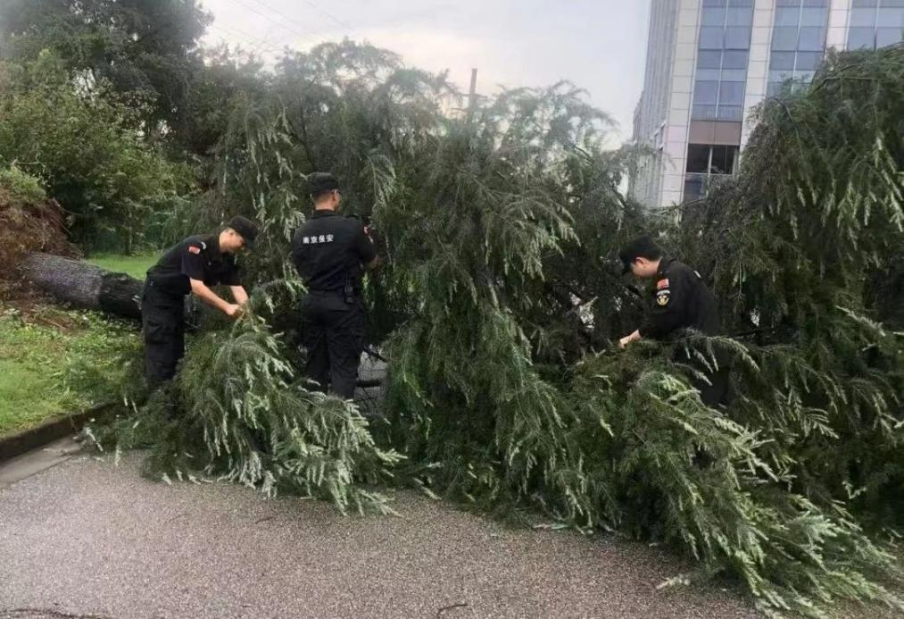 C:/Users/BA/Desktop/風雨過后南京保安迅速行動，恢復安“寧”面貌/1.jpg1